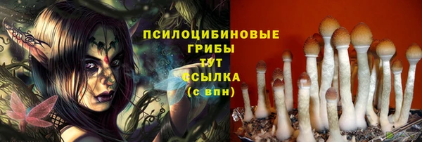 СК Алексеевка