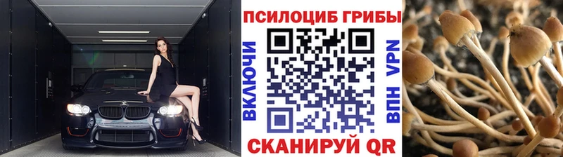 Псилоцибиновые грибы Cubensis  купить  цена  Волжский 